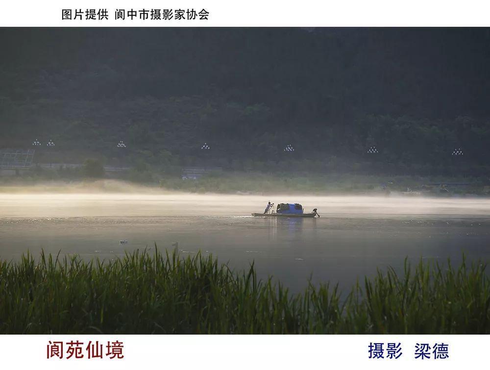 疫情过后,什么食品会最畅销?- 专业有问必答平台