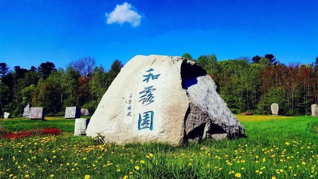冷知识分享平台 - 激发你的好奇心 | 网站能检查到我的电脑的哪些信息?专注冷知识,精选独特内容