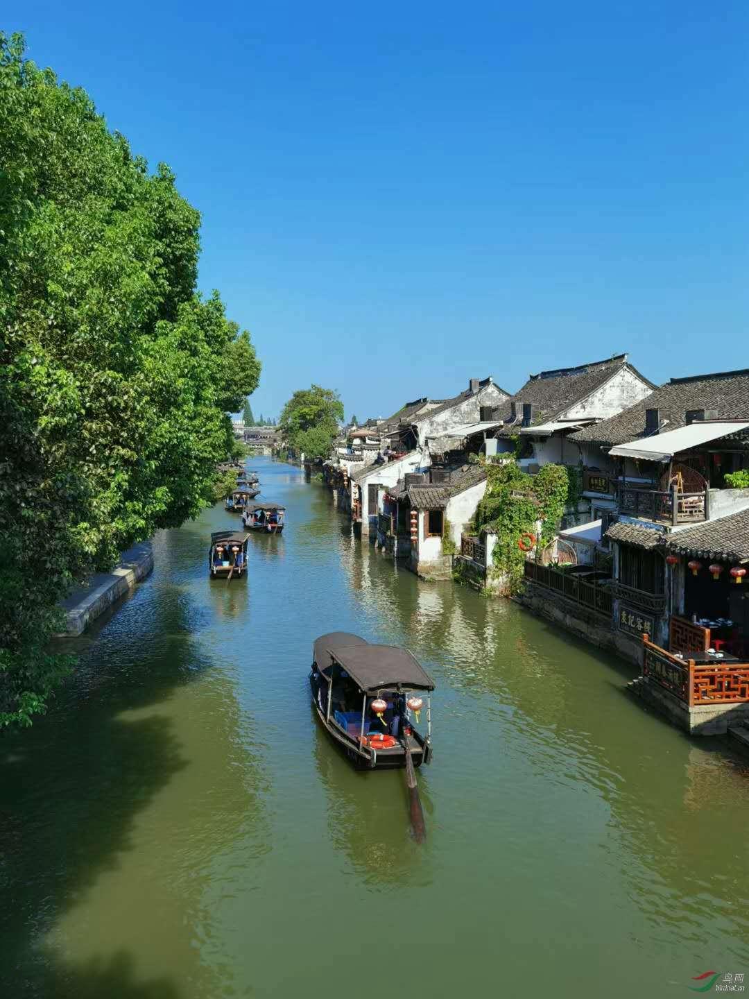 万词王